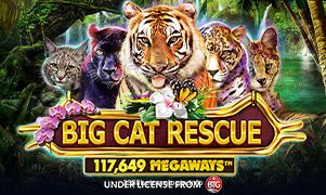 Imagem do jogo Big Cat Rescue Megaways no 3388bet
